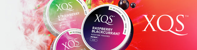 xqs-nicotine-pouches