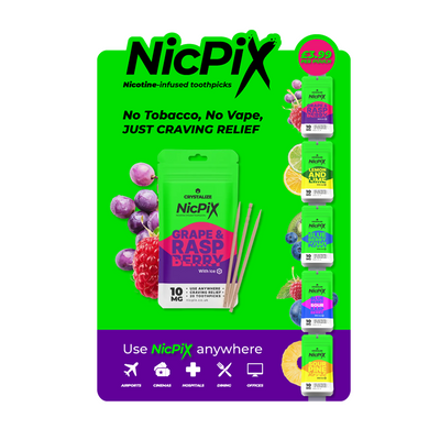 NicPix A2 Display