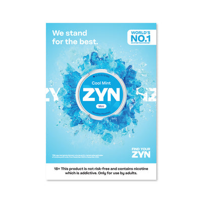 Zyn Internal Poster A4
